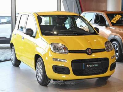 Fiat Panda 1.0 FireFly S&S Hybrid Pop Giallo usata Pianezza