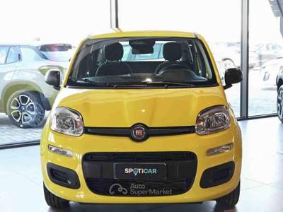 Fiat Panda 1.0 FireFly S&S Hybrid Pop Giallo usata Pianezza