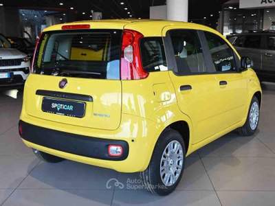 Fiat Panda 1.0 FireFly S&S Hybrid Pop Giallo usata Pianezza
