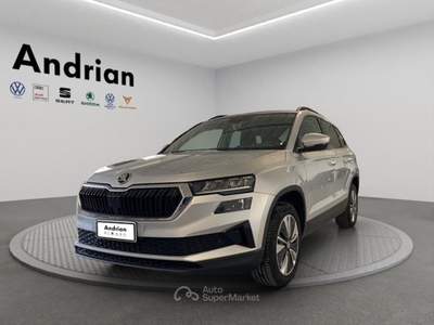 Skoda Karoq Karoq 2.0 TDI EVO SCR 115 CV DSG Ambition Argento usata San Martino Buon Albergo