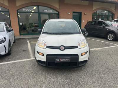 Fiat Panda Panda 1.0 FireFly S&S Hybrid City Life *NEOPATENTATI* Bianco usata Villanova Canavese
