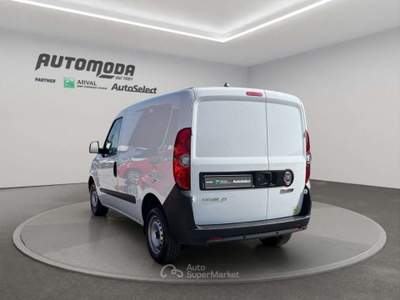 Fiat Doblò 1.6 MJT CH1 BUSINESS Bianco usata San Miniato