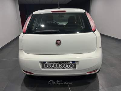 Fiat Punto 1.3 MJT II S&S 85 CV 5 porte EASY Bianco usata Atena lucana