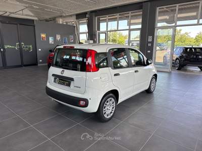 Fiat Panda 1.0  Hybrid 70v - PROMO Bianco usata Santarcangelo di Romagna