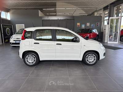 Fiat Panda 1.0  Hybrid 70v - PROMO Bianco usata Santarcangelo di Romagna