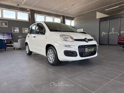 Fiat Panda 1.0  Hybrid 70v - PROMO Bianco usata Santarcangelo di Romagna