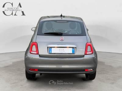 Fiat 500 1.0 hybrid Cult 70cv usata Rovigo