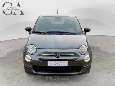 Fiat 500 1.0 hybrid Cult 70cv usata Rovigo