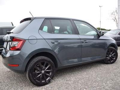 Skoda Fabia 1.0 TSI Ambition Grigio usata Montalto di Castro