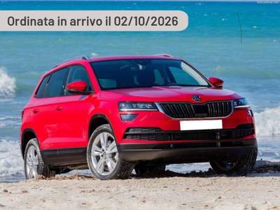 Skoda Karoq 2.0 TDI SCR 4x4 DSG Selection Argento usata Pieve di Cento