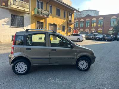 Fiat Panda Fiat Panda 1.2 natural power 1.2 usata Rivoli