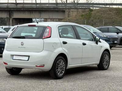 Fiat Punto 1.3 MJT AUTOCARRO 4 POSTI N1 Bianco usata San Salvatore Telesino
