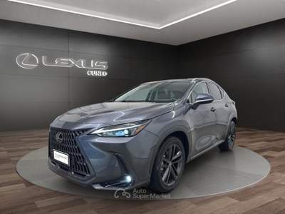 Lexus NX NX 450h+ 2.5 phev Premium+ 4wd 309cv e-cvt Grigio usata Cuneo