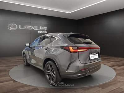 Lexus NX NX 450h+ 2.5 phev Premium+ 4wd 309cv e-cvt Grigio usata Cuneo