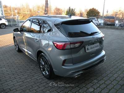 Ford Kuga 1.5 150CV ST-LINE 2023 Grigio usata Campobasso