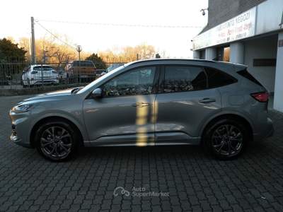 Ford Kuga 1.5 150CV ST-LINE 2023 Grigio usata Campobasso