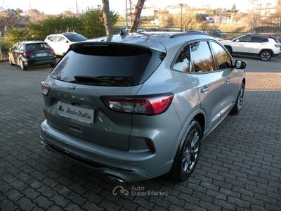 Ford Kuga 1.5 150CV ST-LINE 2023 Grigio usata Campobasso