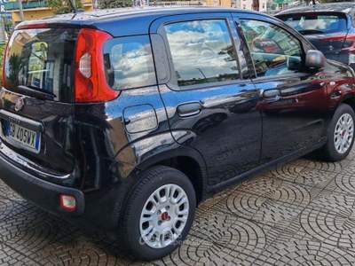 Fiat Panda 1.2 EasyPower Easy Nero usata Quarto