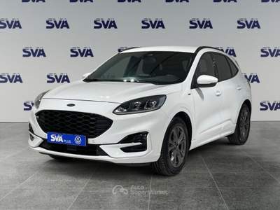 Ford Kuga 1.5d 120CV 2WD ST-Line  Bianco usata Ravenna