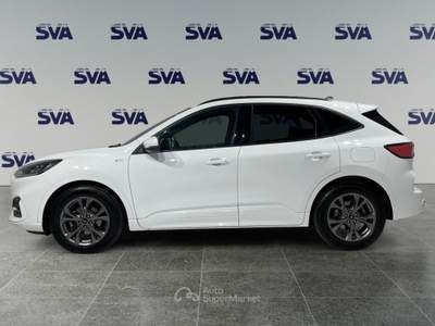 Ford Kuga 1.5d 120CV 2WD ST-Line  Bianco usata Ravenna