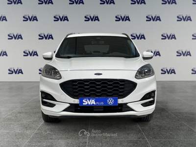 Ford Kuga 1.5d 120CV 2WD ST-Line  Bianco usata Ravenna