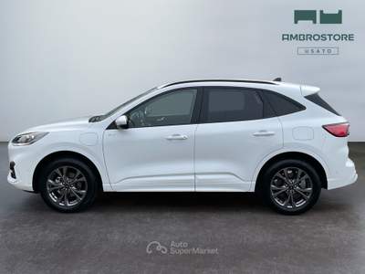 Ford Kuga  - kuga 2.5 phev st-line 2wd 225cv e-shifter Bianco usata Segrate