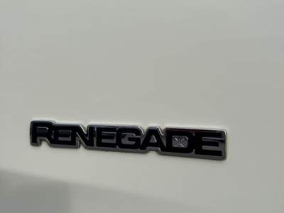Jeep Renegade 1.6 Mjt 120 CV Limited Bianco usata San Gregorio Magno
