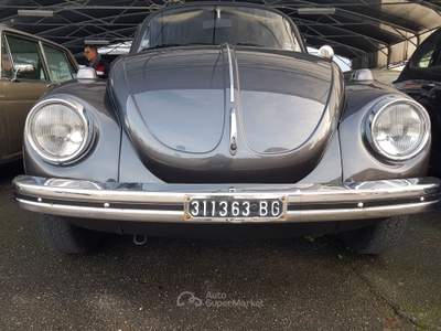 Volkswagen Maggiolino Vettura in contovendita Grigio usata Treviglio