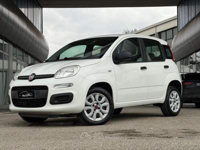 Fiat Panda 0.9 TwinAir Turbo Natural Power Easy Bianco usata Savignano sul Rubicone