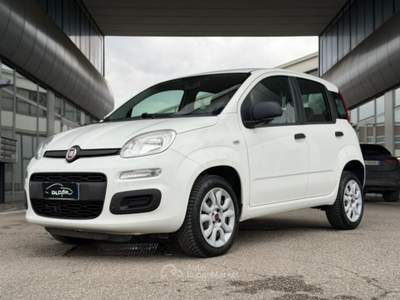 Fiat Panda 0.9 TwinAir Turbo Natural Power Easy Bianco usata Savignano sul Rubicone