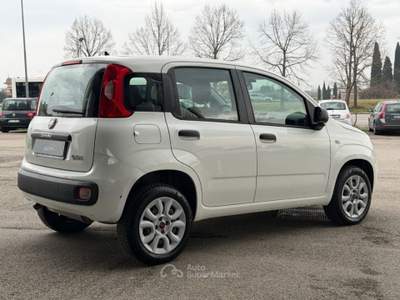 Fiat Panda 0.9 TwinAir Turbo Natural Power Easy Bianco usata Savignano sul Rubicone