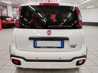 Fiat Panda 1.0 70cv Hybrid Pandina Cross + Car Play SUPER PROMO Bianco usata LEGNANO