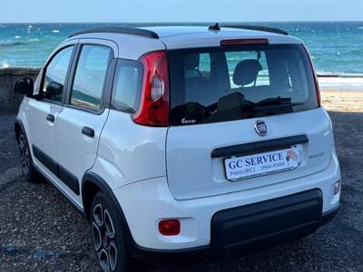 Fiat Panda Panda 1.0 FireFly Hybrid City 5 Posti Bianco usata Palmi