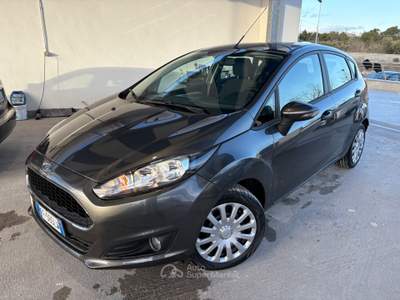 Ford Fiesta 5 porte Business Grigio usata ALTAMURA