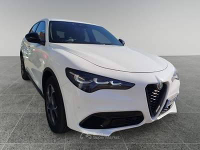 Alfa Romeo Stelvio Stelvio 2.2 Turbodiesel 160 CV AT8 RWD Competizione Bianco usata Cherasco