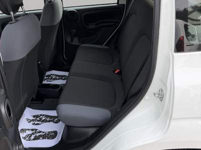 Fiat Panda 1.0 firefly hybrid s&amp;s 70cv usata VALDAGNO
