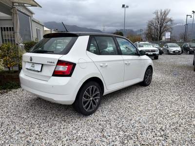 Skoda Fabia Fabia 1.0 MPI 75 CV Executive Bianco usata Massa