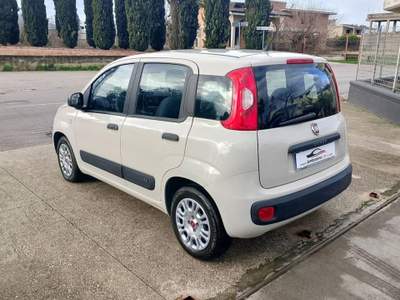 Fiat Panda  1.3 MJT 80 CV S&S Lounge usata Saviano