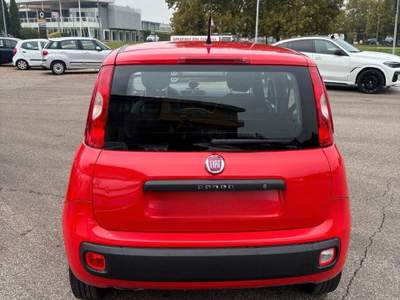 Fiat Panda 80 CV S&S Easy usata Villafranca di Verona