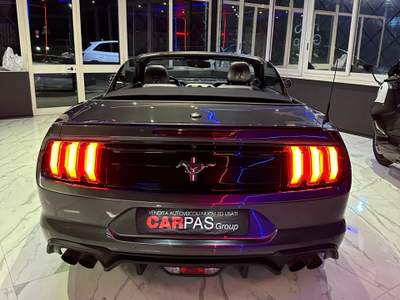 Ford Mustang Convertible 2.3 EcoBoost Cabrio Grigio usata Maddaloni