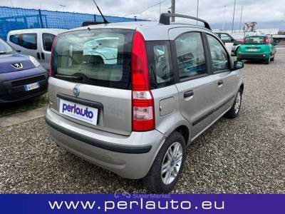 Fiat Panda 1.2 Emotion Argento usata Arezzo