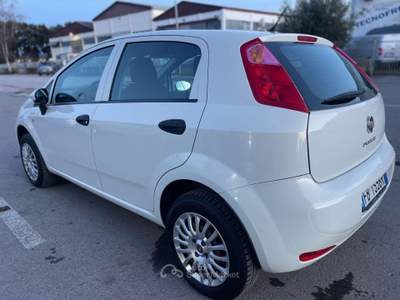Fiat Punto 1.4 8V 5p. Natural Power Lounge Bianco usata Follonica