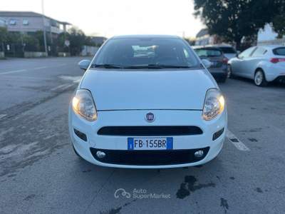 Fiat Punto 1.4 8V 5p. Natural Power Lounge Bianco usata Follonica