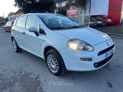 Fiat Punto 1.4 8V 5p. Natural Power Lounge Bianco usata Follonica