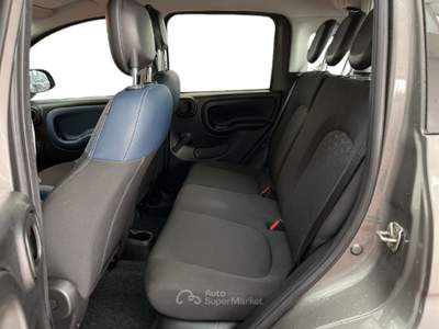 Fiat Panda Panda III 2021 Cross Panda 1.0 firefly hybrid City Cross s&s 70cv 5p.ti Grigio usata Torino