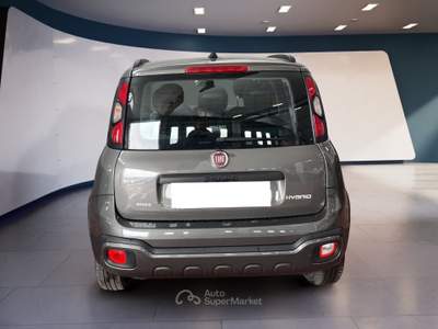 Fiat Panda Panda III 2021 Cross Panda 1.0 firefly hybrid City Cross s&s 70cv 5p.ti Grigio usata Torino