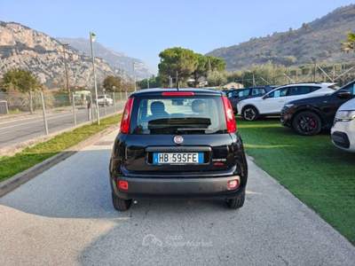 Fiat Panda 1.0 FireFly S&S Hybrid Pop Nero usata Arco