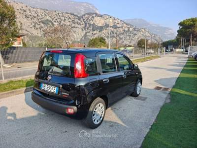 Fiat Panda 1.0 FireFly S&S Hybrid Pop Nero usata Arco