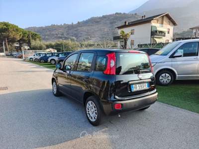 Fiat Panda 1.0 FireFly S&S Hybrid Pop Nero usata Arco