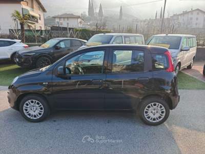 Fiat Panda 1.0 FireFly S&S Hybrid Pop Nero usata Arco